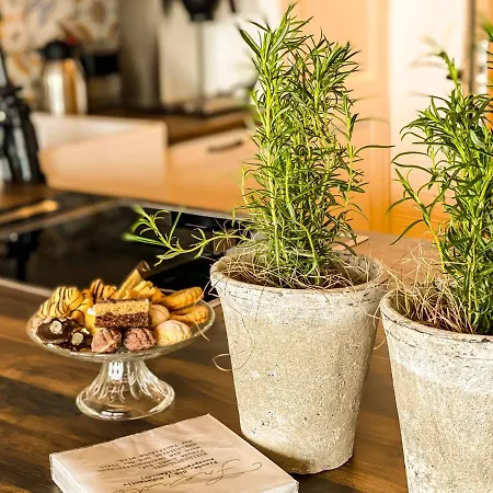 Mandlberggut Apartment *