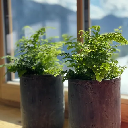 Apartment Mandlberggut