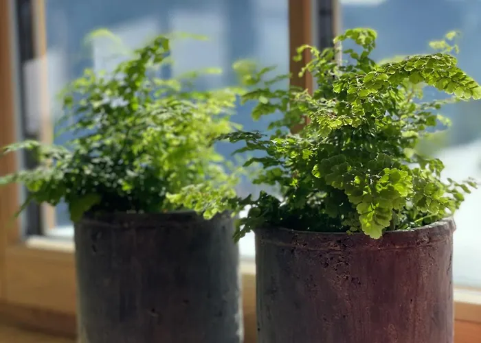 Apartman Mandlberggut